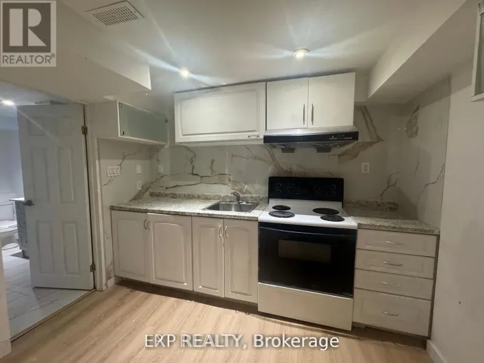 BASEMENT - 210 CHURCH STREET, Georgina