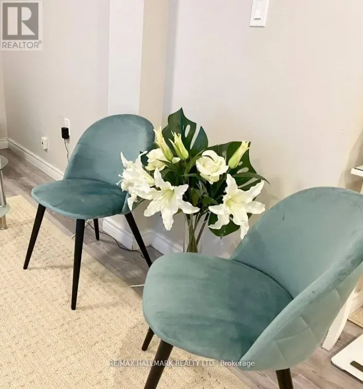 BASEMENT - 214 BEECHY DRIVE, Richmond Hill