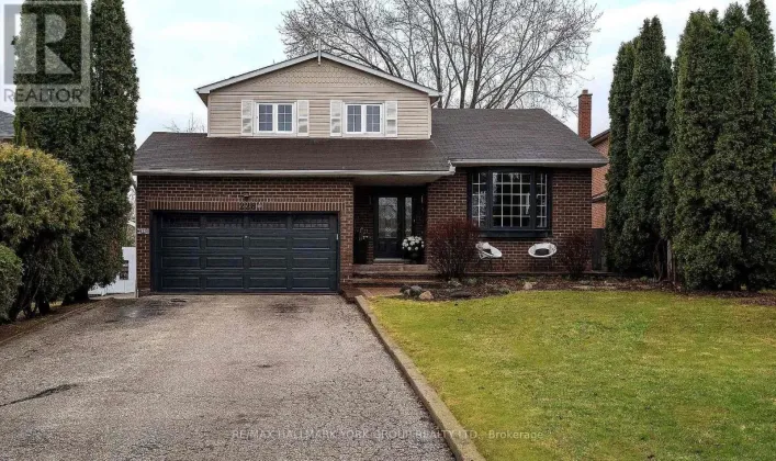 BASEMENT - 228 YORKSHIRE DRIVE, Newmarket