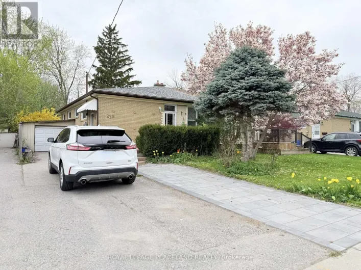 BASEMENT - 230 AXMINSTER DRIVE, Richmond Hill
