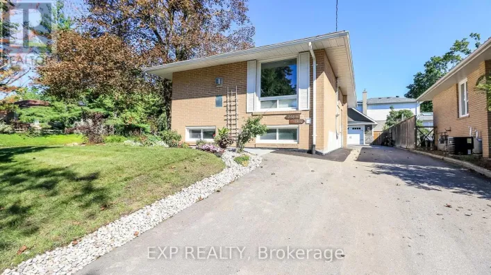 BASEMENT - 258 NAPIER STREET, Barrie
