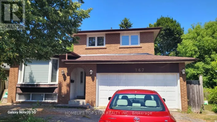 BASEMENT - 267 ROUGE HILLS DRIVE, Toronto