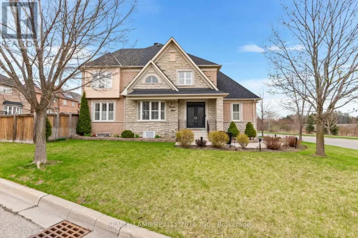 BASEMENT - 3 HEARSON STREET, Ajax