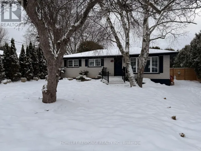 BASEMENT - 31 VARADI AVENUE, Brantford