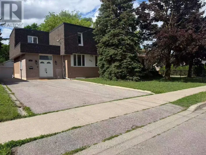BASEMENT - 339 ELMWOOD AVENUE, Richmond Hill
