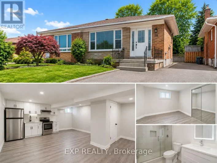 BASEMENT - 36 CASTOR CRESCENT, Toronto