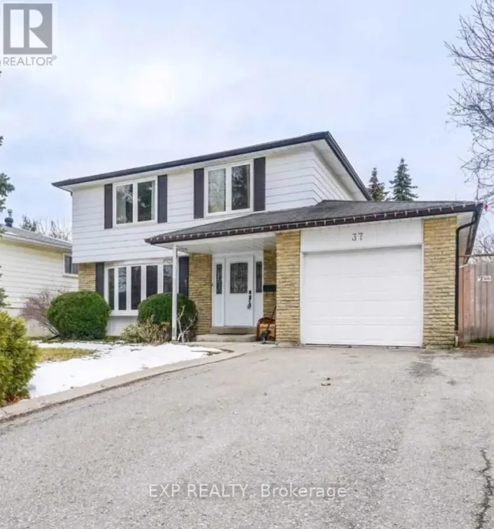 BASEMENT - 37 JASPER CRESCENT, Brampton