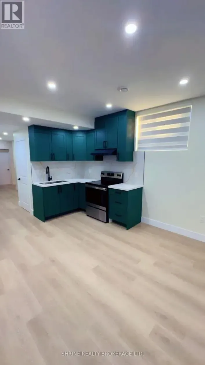 BASEMENT - 3843 PETALPATH WAY, London South