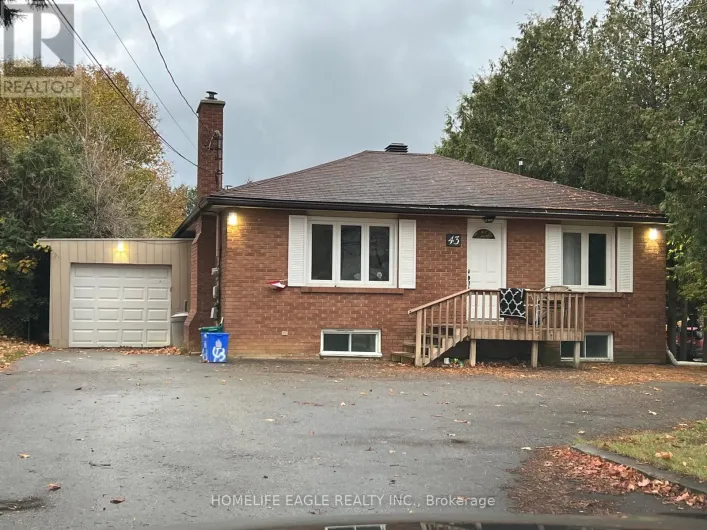 BASEMENT - 43 MAPLE GROVE AVENUE S, Richmond Hill