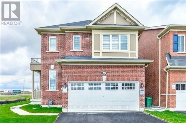 BASEMENT - 46 RINGWAY ROAD, Brampton