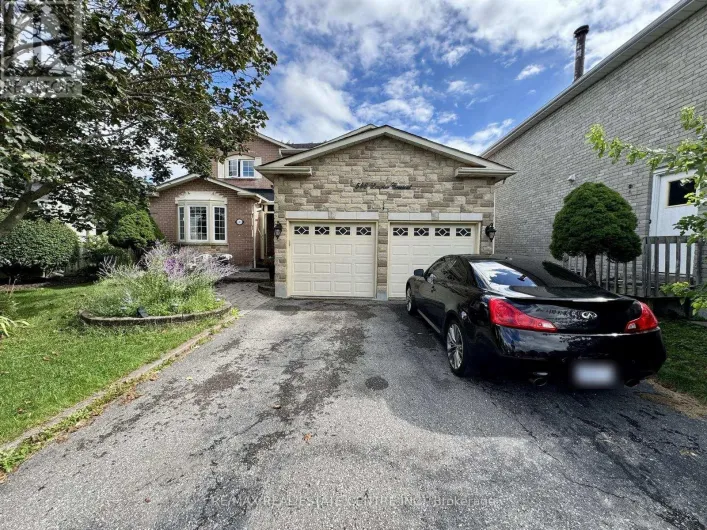 BASEMENT - 546 LAURIER CRESCENT, Pickering