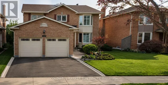 BASEMENT - 59 BARR CRESCENT, Brampton