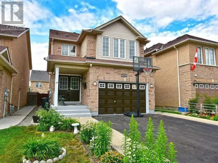 BASEMENT - 59 ROLLINGWOOD DRIVE, Brampton