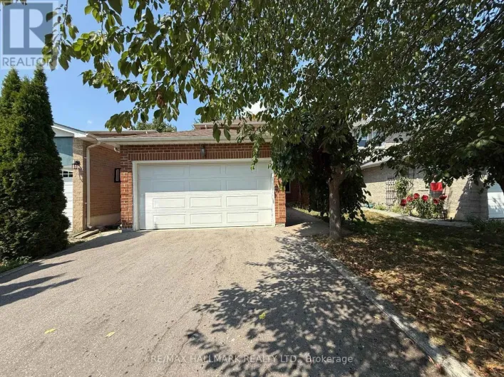 BASEMENT - 60 LUND STREET, Richmond Hill