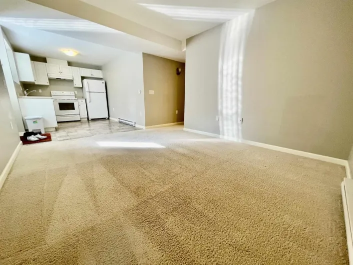 Basement 790x 211B STREET, Langley