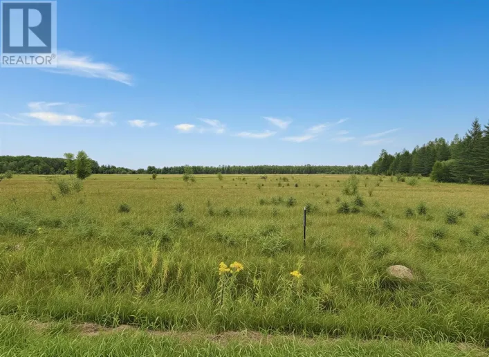 BERGLAND CEMETERY RD, Lake of the Woods