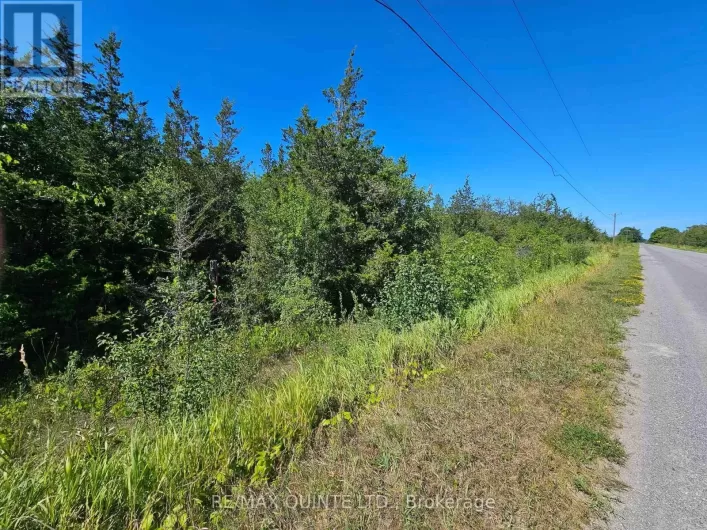 BESIDE 101 ROYAL ROAD, Prince Edward County