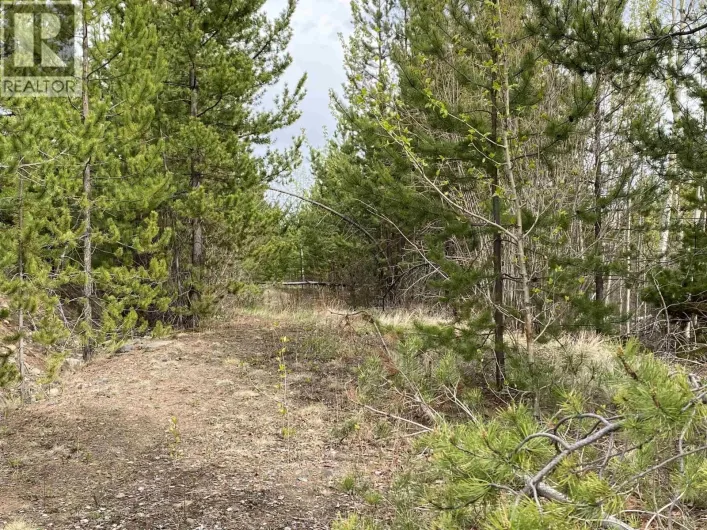 BLK A 94 MILE FRONTAGE ROAD, 100 Mile House