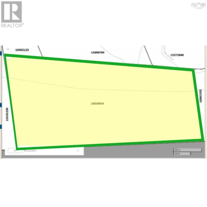 Bridget (P) Lane, Birch Grove