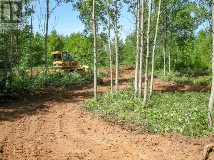Bruce Point Road, Launching