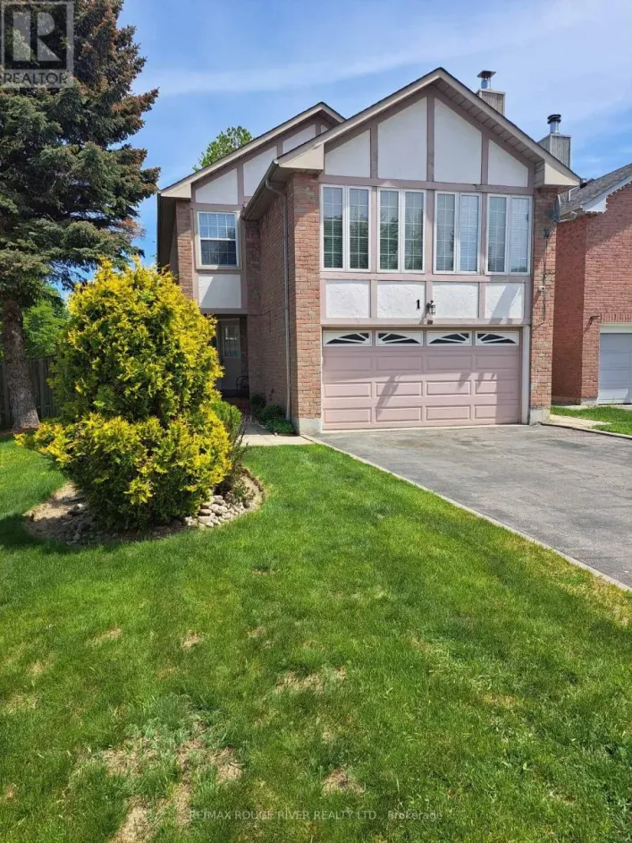 BSMT - 1 GREYBEAVER TRAIL, Toronto