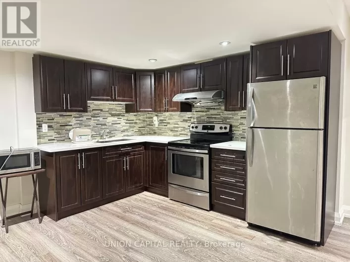 BSMT - 163 ELMWOOD AVENUE, Richmond Hill