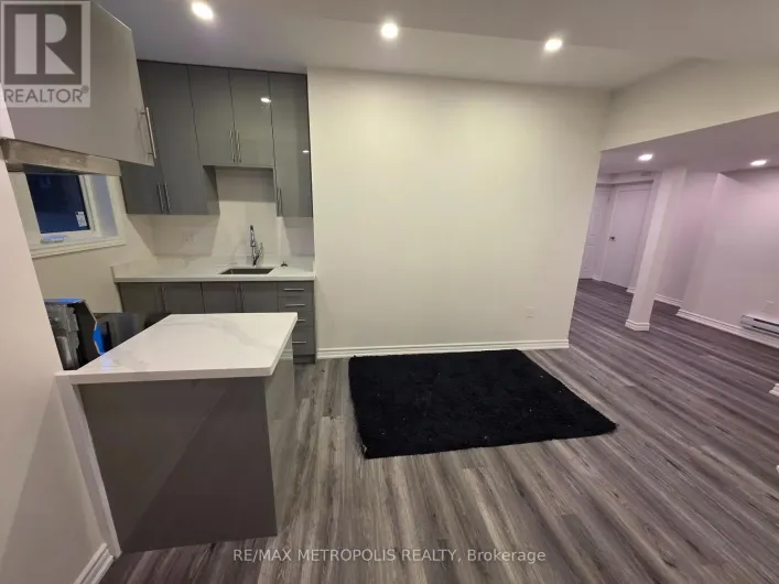 BSMT - 301 SEAVIEW HEIGHTS, East Gwillimbury