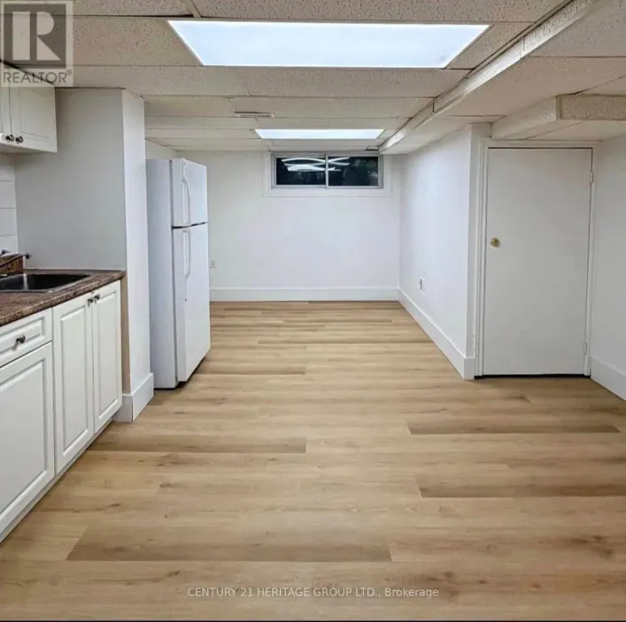 BSMT - 316 BIOSDALE AVENUE W, Richmond Hill
