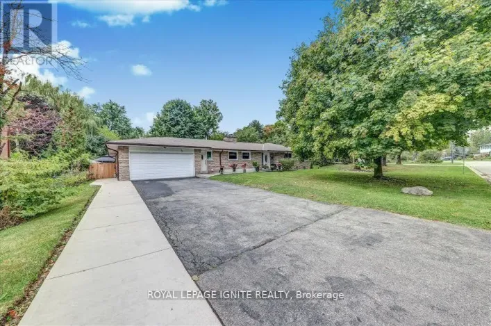 BSMT - 36 HILLSIDE DRIVE, Brampton