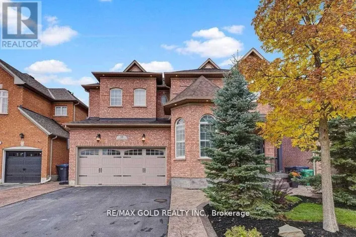 (BSMT) - 38 CARMEL CRESCENT, Brampton