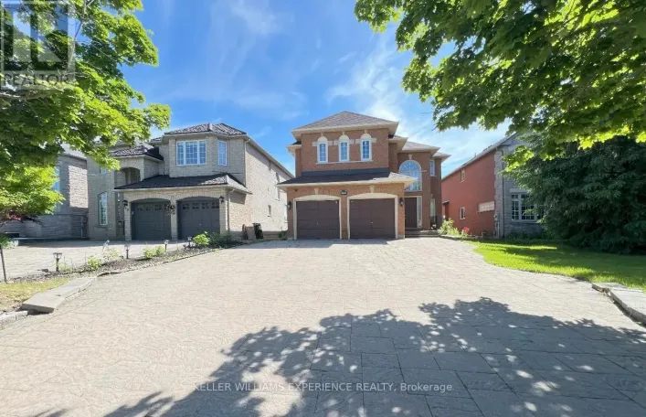 BSMT - 44 ALPINE CRESCENT, Richmond Hill