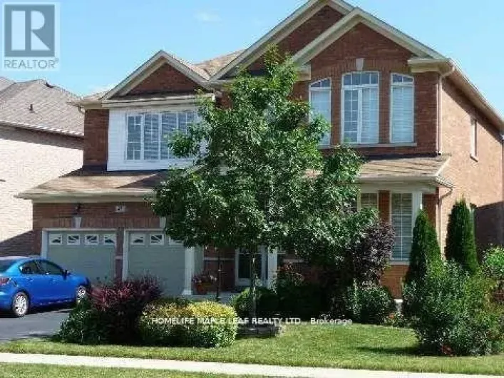 (BSMT) - 45 STONEYLAKE AVENUE, Brampton