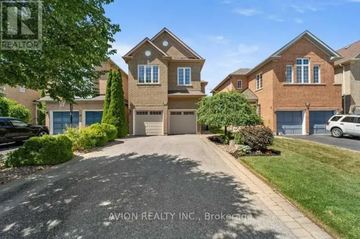 BSMT - 56 GOLDEN OAK AVENUE, Richmond Hill
