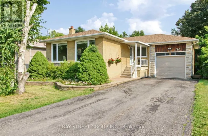 BSMT - BSMT 324 ELMWOOD AVENUE, Richmond Hill