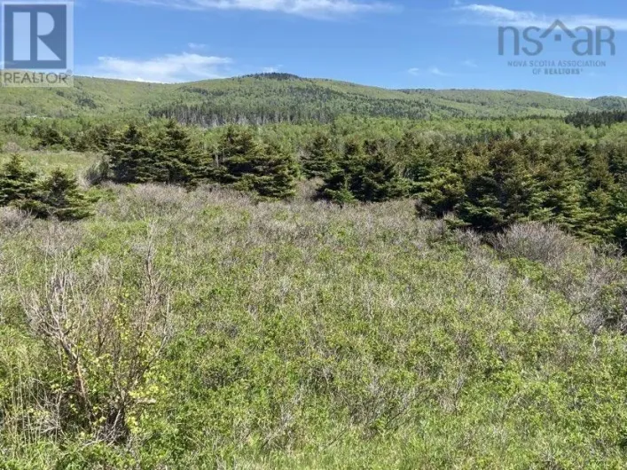 Cabot Trail, Cap Le Moine