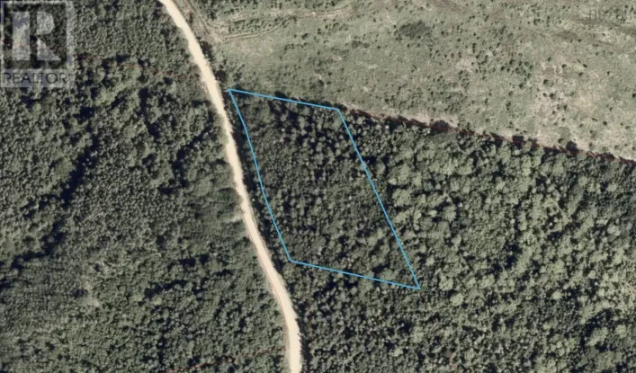 Cameron Road, Orangedale