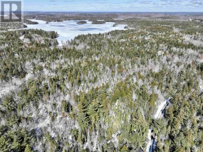 Camperdown School Road, Middlewood