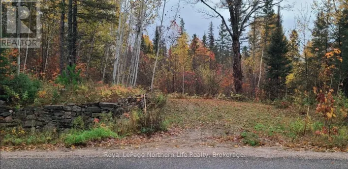 CHISWICK LINE HIMSWORTH CON 10 PT LOT 5 LINE, Powassan