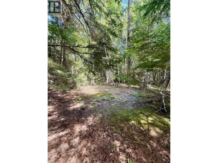Claybrick Road Lot# 7, Winlaw