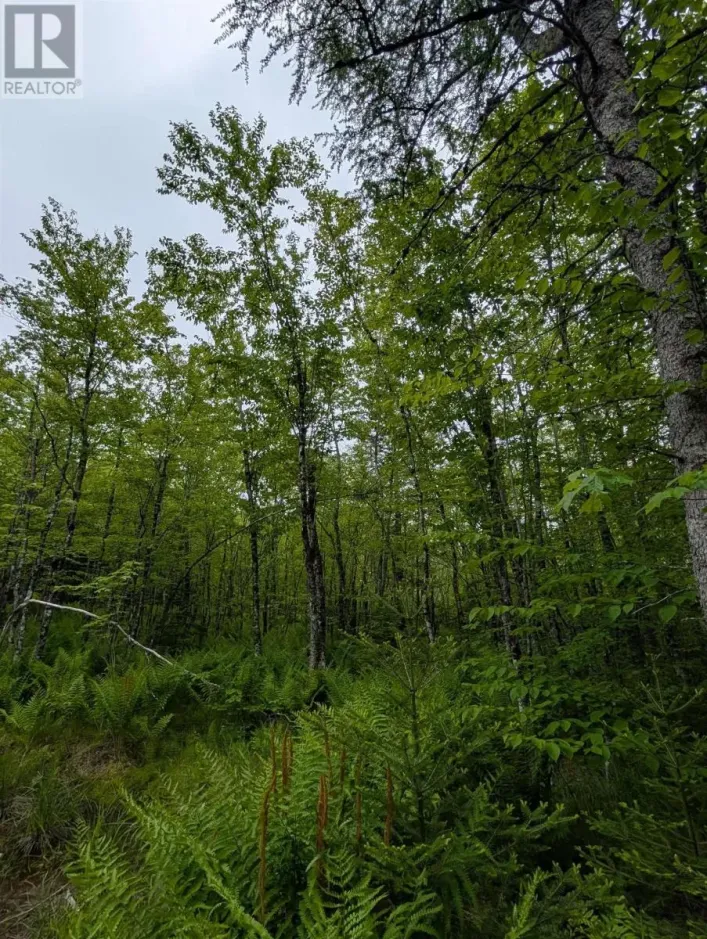 CM2J Lot CM2J Mckenzie Lane, Mount Uniacke