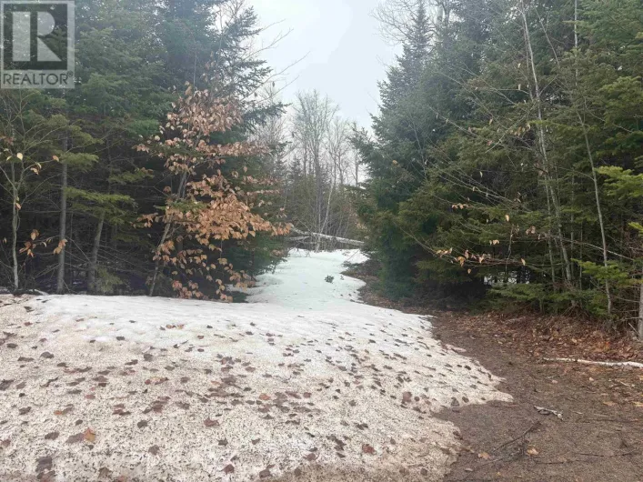 Collins Road, New Perth