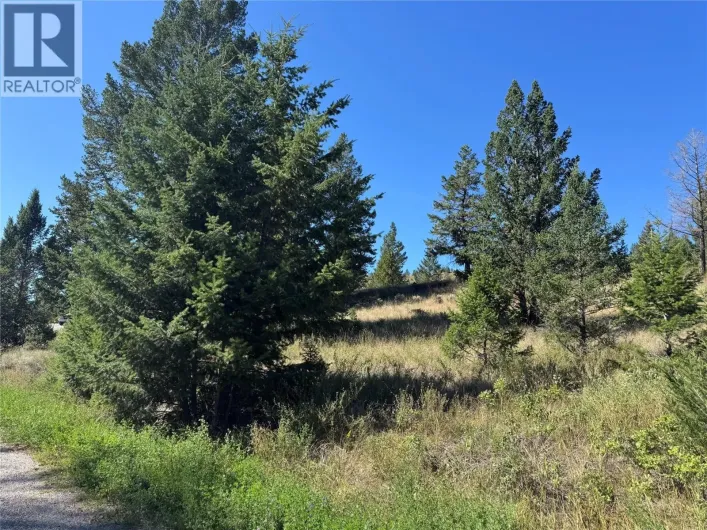 Columbia Estates Road Lot# Lot 13, Fairmont Hot Springs