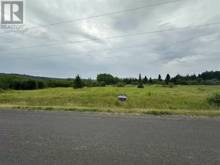 CON1 N PTLOT 11 HWY 595, Neebing