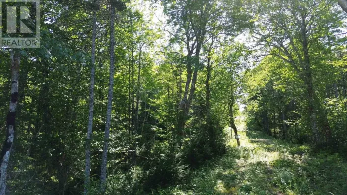 Condons Lake Drive, Lynche River