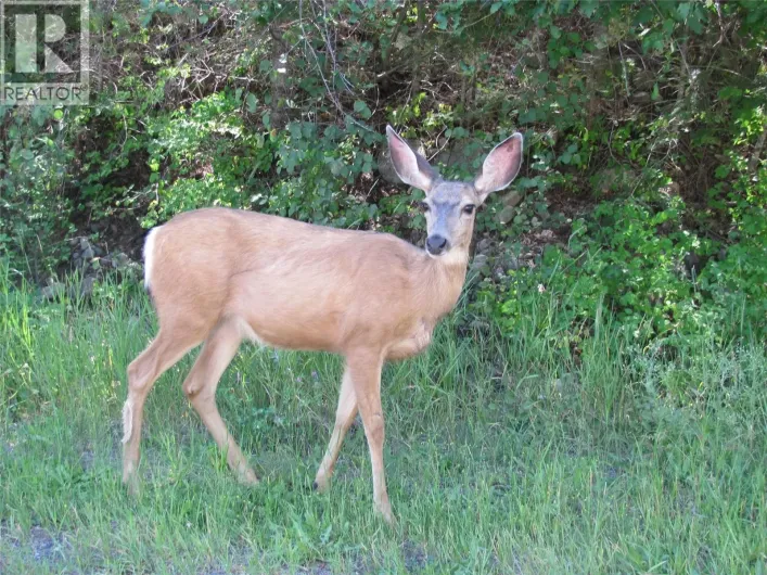 Crown Crescent Lot# 252, Vernon