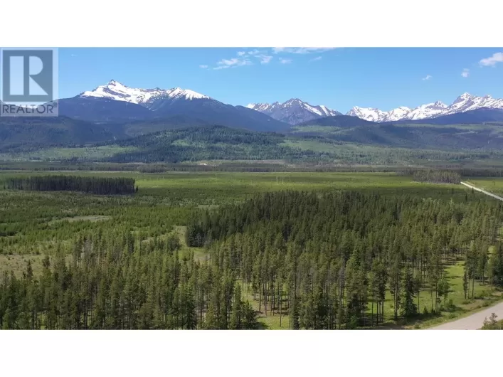 DL 5702 CROOKED CREEK ROAD, Valemount