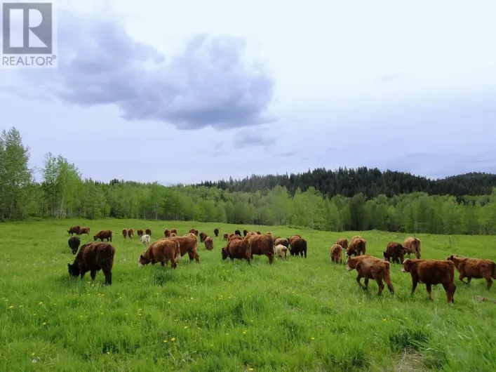 DL5277 DAY ROAD, Horsefly