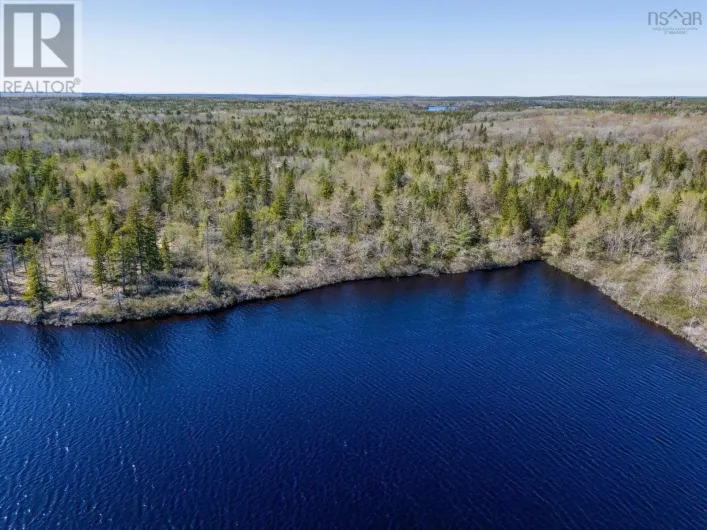 DP-11 Racoon Lane, Gavelton