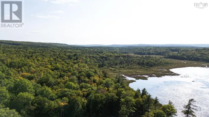 Florence Lane, Wellington