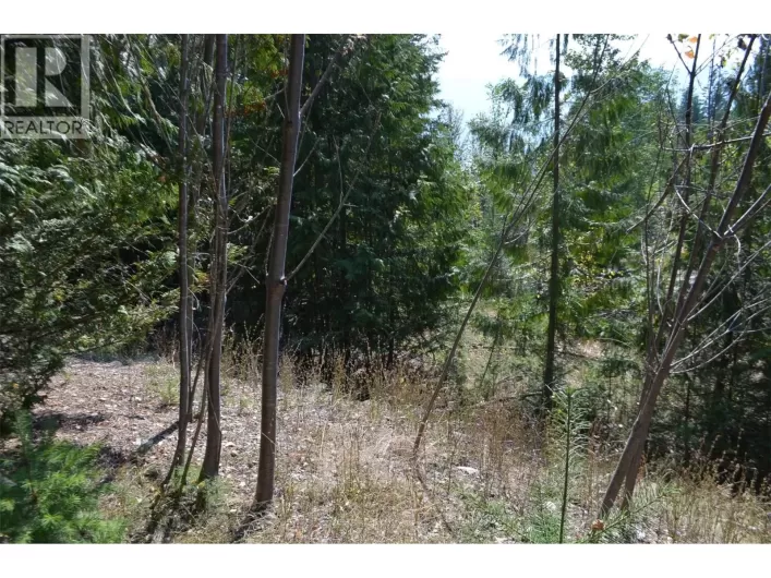 Fraser Road Lot# 59, Anglemont